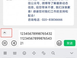 抖音月付能用微信还款吗？安全吗？，抖音月付是否支持微信还款？安全性如何？一文解答您的疑惑！