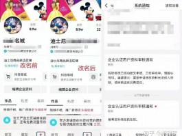 揭秘抖音蓝V企业名称变更之道：能否更改及详细操作指南