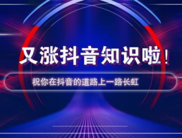 抖音业务下单24小时最低价 ks业务秒双击,抖音业务下单24小时最低价解析