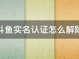 大鱼号怎样实名认证？步骤是什么？，大鱼号究竟该如何完成实名认证呢？具体步骤又是怎样的呀？