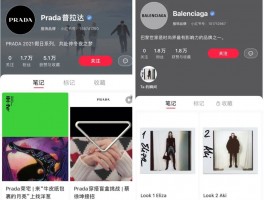 小红书发布商品后为什么看不到？发布商品后下一步怎么做？，小红书发布商品后为何不见踪影？揭秘发布后的下一步行动指南！