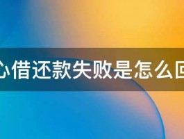 抖音放心借还款失败什么原因？放心借还款失败怎么办？，抖音放心借还款失败原因及应对策略详解