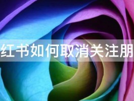 揭秘小红书评论删除后博主是否会收到通知及潜在影响