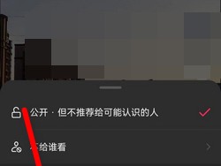 抖音评论怎么设置权限不让别人看？抖音评论怎么置顶？，以下是几种不同风格的标题，你可以根据需要进行选择：，文艺风，- 《探秘抖音评论权限设置：如何巧妙隐藏，让特定内容不为人见？同时解锁评论置顶妙法》，活泼风，- 《嘿！想知道抖音评论怎么设置权限，不让他人窥探秘密吗？还有评论置顶的神奇操作哦~》，专业风，- 《抖音评论权限设置与置顶技巧全解析：有效保护隐私及突出重要评论的方法》