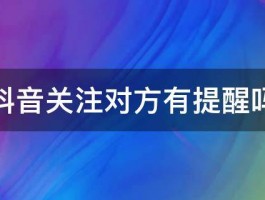 视频号私信对方有提醒吗？私信聊天安全吗？，标题：视频号私信功能全解析：对方是否有提醒？聊天是否安全可靠？