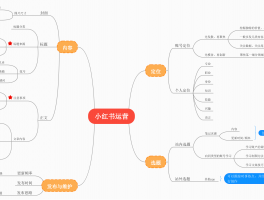 小红书新店如何运营？小红书开店怎么样？