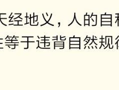 我回复的评论是否对他人可见？解析'回复了你的评论'背后的深意