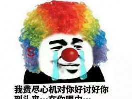 抖音评论发不了表情包怎么回事？发不了表情包怎么回复别人？，抖音评论表情包发送难题：无法使用表情包如何巧妙回复他人？