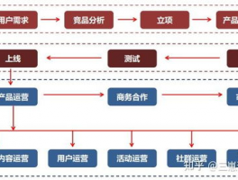 新媒体账号内容定位怎么做？运营的用户定位包含哪些内容？,短视频内容定位包括哪些