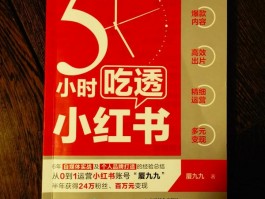 小红书评论成功却看不见怎么回事？评论成功却看不见如何解决？，小红书评论成功却看不见？别急，这里有妙招解决你的困扰！